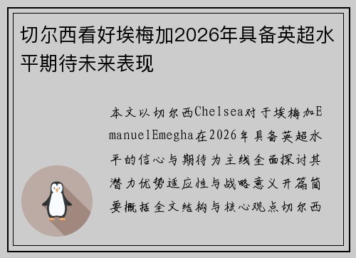 切尔西看好埃梅加2026年具备英超水平期待未来表现
